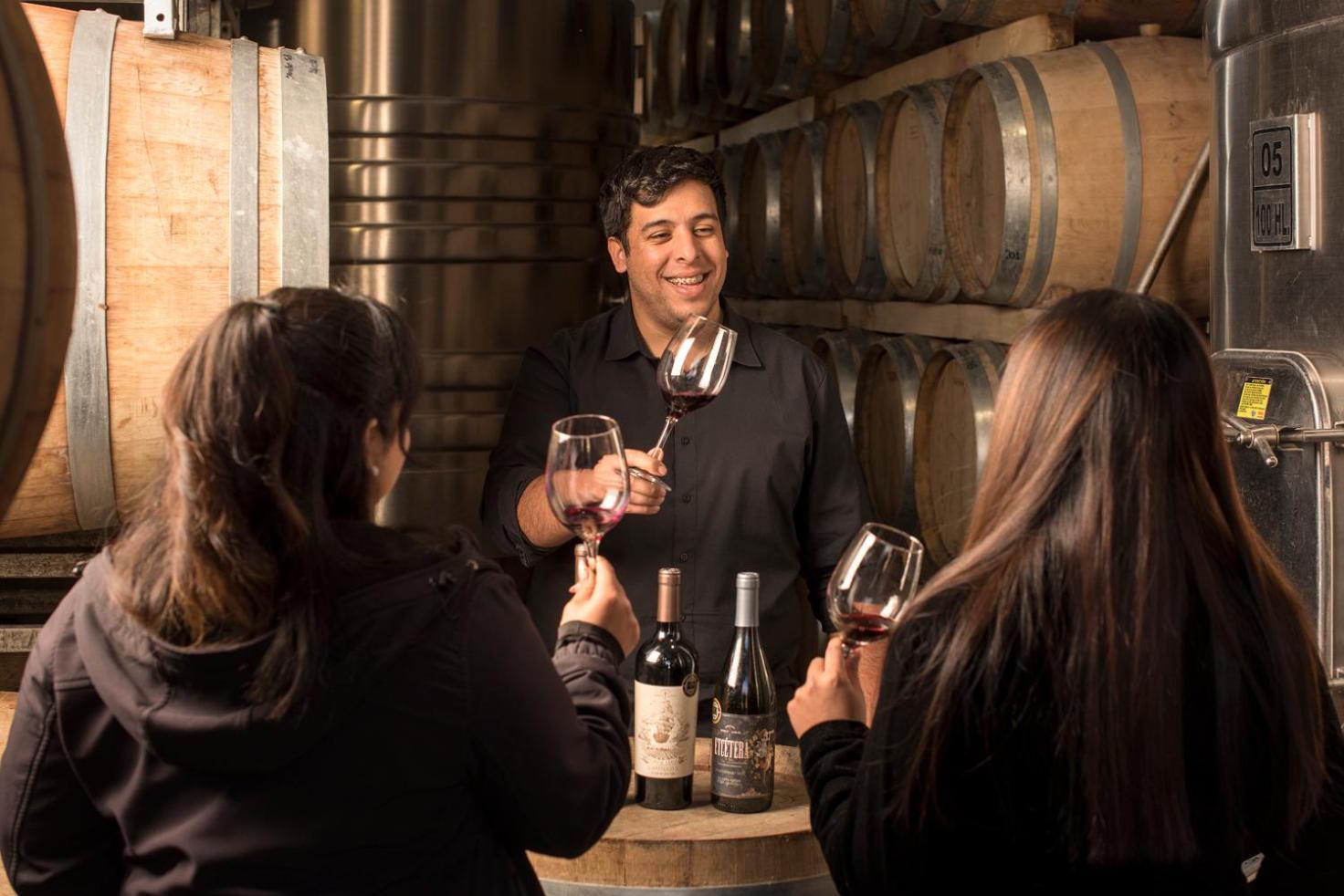 Postales Boutique Winery Hotel - Valle De Uco Colonia Las Rosas Bagian luar foto