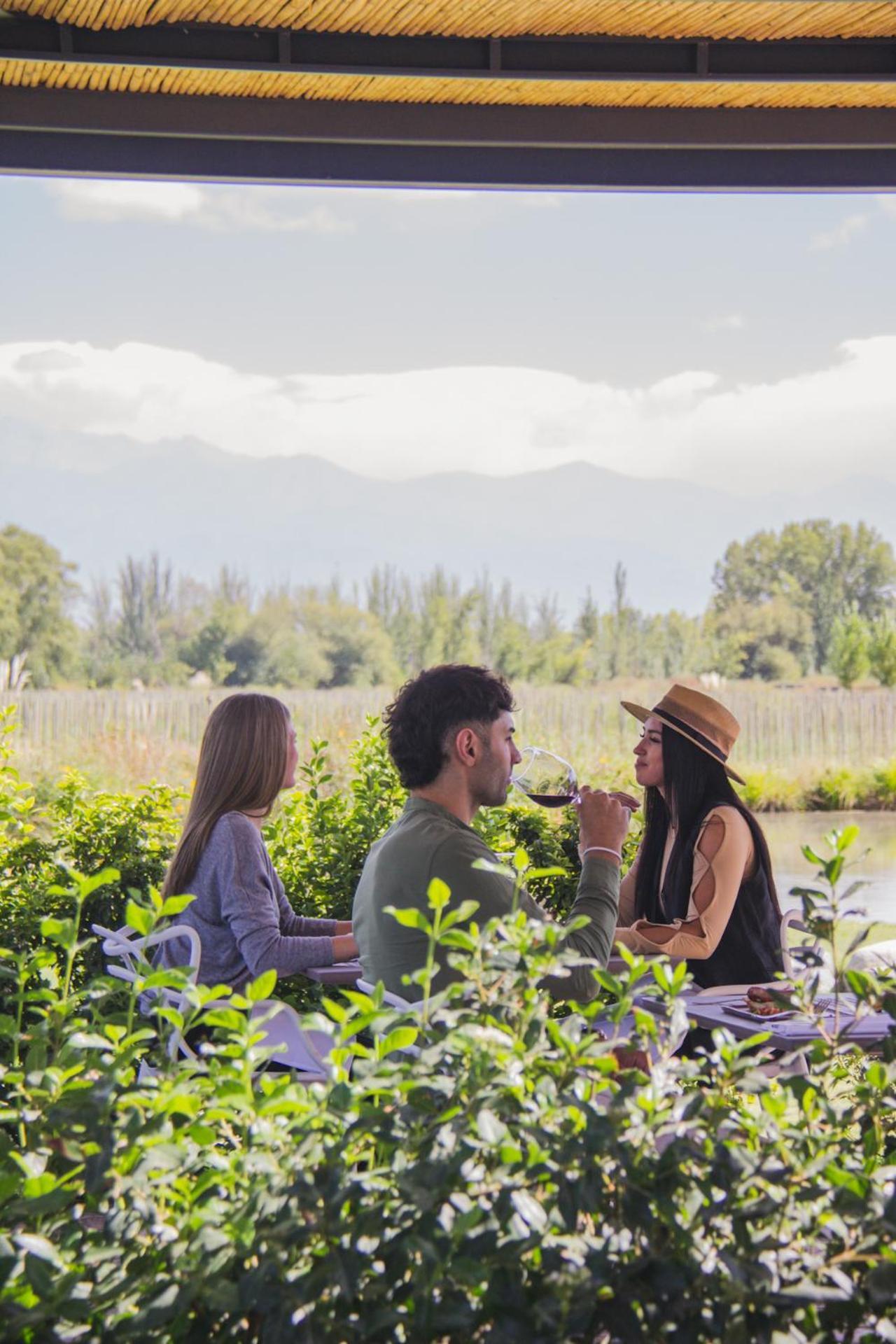 Postales Boutique Winery Hotel - Valle De Uco Colonia Las Rosas Bagian luar foto