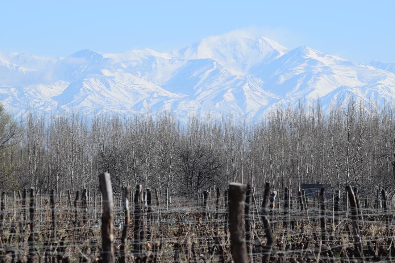 Postales Boutique Winery Hotel - Valle De Uco Colonia Las Rosas Bagian luar foto