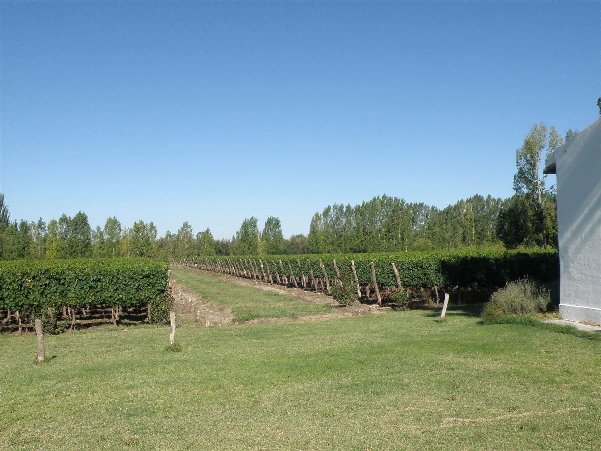 Postales Boutique Winery Hotel - Valle De Uco Colonia Las Rosas Bagian luar foto