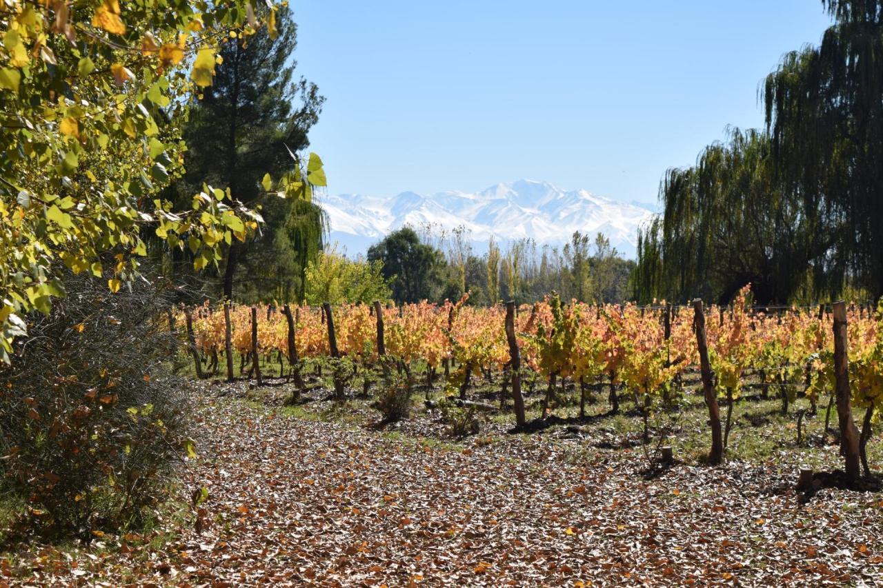 Postales Boutique Winery Hotel - Valle De Uco Colonia Las Rosas Bagian luar foto