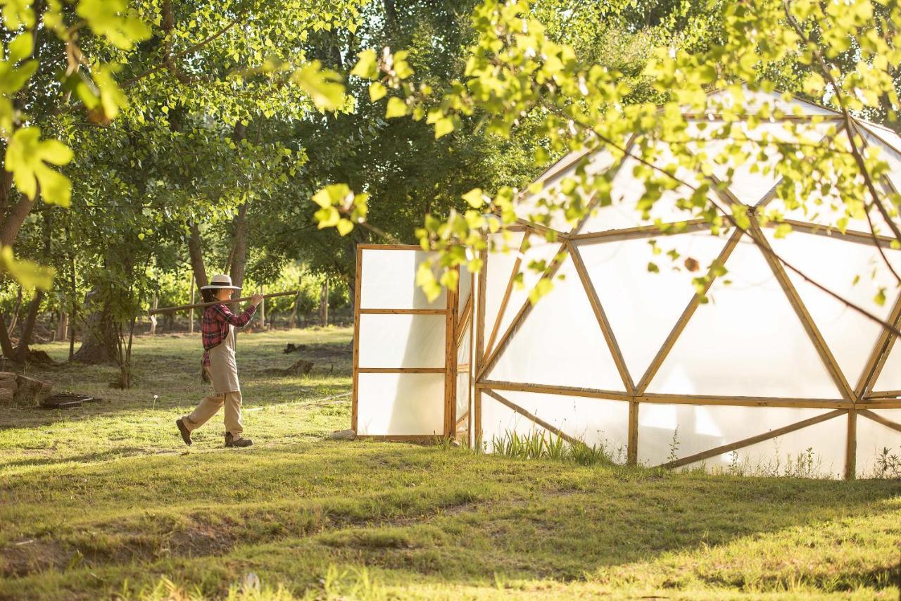 Postales Boutique Winery Hotel - Valle De Uco Colonia Las Rosas Bagian luar foto